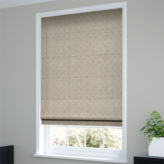 Elysee Platinum Roman Blind - Image 2